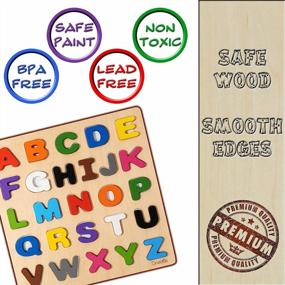 img 2 attached to 🔠 Driddle Magnetic Wooden Alphabet Puzzle - Boost ABC & Color Learning with Montessori-inspired Toddler Educational Toy