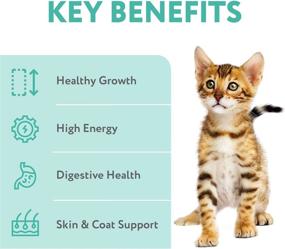 img 2 attached to 🐾 Optimeal Vital Nurture Kitten Food - Made in Ukraine - Dry Recipe for Optimal Digestion, Delicious Cat Food with Immunity Support for Kittens (2.8lbs Total (2-Pack), Chicken & Rice)