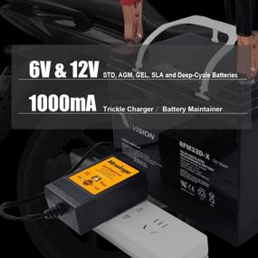 img 3 attached to Mroinge 6V / 12V 1A Fully Automatic Trickle Battery Charger/Maintainer For Automotive Vehicle Motorcycle Lawn Mower ATV RV Powersport Boat, Sealed Deep-Cycle AGM Gel Cell Lead Acid Batteries
