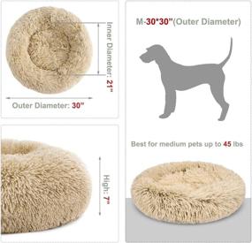 img 2 attached to 🐶 GASUR Dog Bed Cat Beds Donut, Soft Plush Round Pet Bed - Small, Mini, Medium Size - Calming Bed, Self-Warming Winter Indoor Snooze Sleeping Kitten Bed, Puppy Kennel (30*30 inches, Taupe)