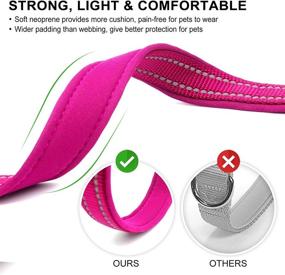 img 2 attached to 🐾 Reflective Dog Collar by Azuza - Soft Neoprene Padded Pet Collar with ID Tag Ring, Adjustable for Small to Large Dogs