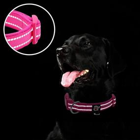 img 1 attached to 🐾 Reflective Dog Collar by Azuza - Soft Neoprene Padded Pet Collar with ID Tag Ring, Adjustable for Small to Large Dogs