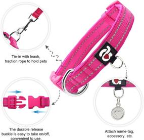 img 3 attached to 🐾 Reflective Dog Collar by Azuza - Soft Neoprene Padded Pet Collar with ID Tag Ring, Adjustable for Small to Large Dogs