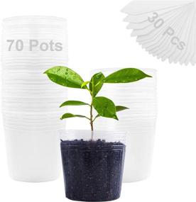 img 4 attached to Transparent Plant Nursery Pots With Drain Holes - 70 Pack Of 4 Inch Plastic Pots For Seedlings, Vegetables, Succulents, And Cuttings, Includes 30 Plant Labels