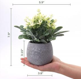 img 3 attached to 2 Pack Mini Potted Eucalyptus Artificial Plants - 5.9” X 7.9” For Home, Office, Desk Decor