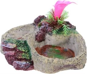 img 4 attached to 🦎 POPETPOP Reptile Water Bowl - Reptile Feeder Food Dish for Tortoise, Lizard, Frog, Leopard Gecko, Snake, Chameleon, Bearded Dragon Accessories