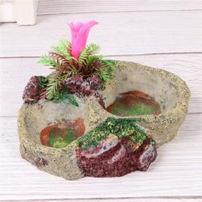 img 3 attached to 🦎 POPETPOP Reptile Water Bowl - Reptile Feeder Food Dish for Tortoise, Lizard, Frog, Leopard Gecko, Snake, Chameleon, Bearded Dragon Accessories