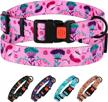 stylish and adjustable floral dog collar in pink for small, medium, and large dogs by collardirect logo