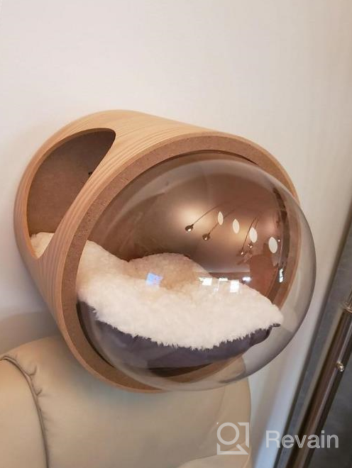 img 1 attached to Transform Your Pet'S Space With MYZOO Spaceship Gamma: The Ultimate Window Perch And Cat Tree Made Of Oak Wood review by Tony Doan