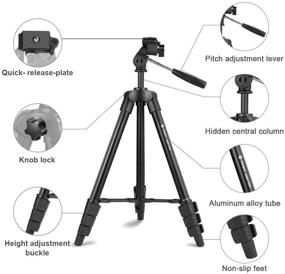 img 1 attached to 📷 Fotopro Phone Tripod: 48-inch Camera Tripod with 3-Way Head, Lightweight Aluminum Tripod for iPhone & Samsung, 1/4’’ Screw Travel Tripod with Wireless Remote for DSLR Camera by Canon, Sony, Nikon