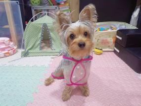 img 2 attached to Harikaji Pet Raincoat: Small Dog Waterproof Puppy Rainwear Clothing - Transparent Coat for Small Dogs/Cats (L, Pink)