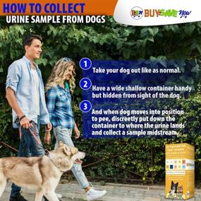 img 1 attached to 🐾 Comprehensive Pet Test Strips: Accurate Urine Monitoring for Dogs, Cats, and Other Animal Pets. Test for Blood, Glucose, pH, Specific Gravity, UTI, Liver & Kidney Health.