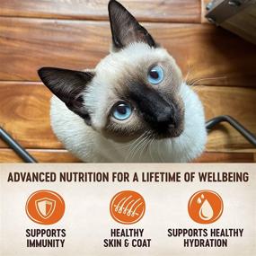 img 2 attached to 🐱 Grain-Free Signature Selects Wet Cat Food by Wellness CORE: Natural, Real Meat Pet Food with Chunky, Flaked, and Shredded Varieties (Available in 2.8 oz or 5.3 oz Cans)