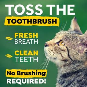 img 3 attached to TropiClean Fresh Breath Водная добавка для ухода за полостью рта для кошек: защита от зубного налета и зубного камня с натуральными ингредиентами - 8 унций, производство США