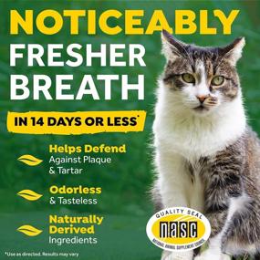 img 2 attached to TropiClean Fresh Breath Водная добавка для ухода за полостью рта для кошек: защита от зубного налета и зубного камня с натуральными ингредиентами - 8 унций, производство США