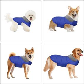 img 2 attached to 🐶 Fragralley Large Blue Dog Jacket: Waterproof, Windproof, Reversible Winter Clothes for Small Medium Large Dogs