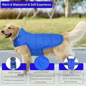 img 3 attached to 🐶 Fragralley Large Blue Dog Jacket: Waterproof, Windproof, Reversible Winter Clothes for Small Medium Large Dogs