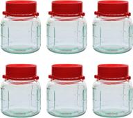 🏺 32oz glass jars with airtight lids, 1l mason jars with handle, wide mouth jars with plastic lids for dry food storage, pickling, kitchen canister, fermenting, sun tea, kombucha, kefir, water storing, canning jars - pack of 6 логотип