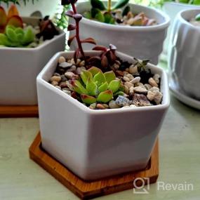 img 6 attached to 6 Small Ceramic Succulent Planter Pots With Drainage Hole & Bamboo Tray - White Porcelain Garden Decor For Home And Office (No Plants)