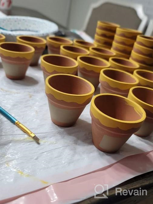 img 1 attached to 48 Pcs 2In Tiny Terracotta Pots W/ Drainage Holes - Perfect For Succulents, Crafts & Wedding Favors! review by Bruno Gilbert