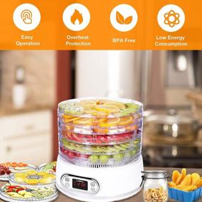 img 1 attached to Food Dehydrator, 6 Trays Dehydrator For Food And Jerky, Fruits Herbs Veggies Meat Dog Treats, Digital Timer & Temperature Control, BPA-Free, Dishwasher Safe, 400W, Fruit Roll Sheet Included (White)