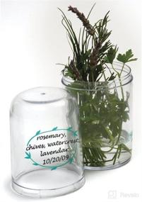 img 1 attached to 🌿 Norpro Fresh Herb Keeper: Keep Your Basil, Cilantro, and More Fresh in Your Refrigerator with this 9"x 3.75" Container