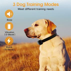 img 3 attached to 🐶 Rechargeable Dog Training Collar with Remote - LQCOUFOZ Shock Collar for Large, Medium, and Small Dogs - 3 Training Modes, Beep, Vibration, Shock - 1000Ft Remote Range - IPX7 Waterproof