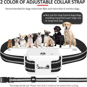 img 2 attached to 🐶 Chidory Small Dog Bark Collar with Spray Training - Citronella, Waterproof Anti Barking Control - No Refill Needed