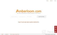 img 1 attached to Amberloom Website Checker review by James Eledge