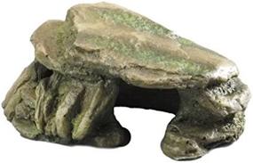 img 2 attached to 🌿 Aqua Della Stone Decoration Rock, 15cm, Moss: Enhance Your Aquarium with Natural Beauty