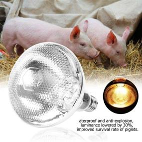 img 4 attached to Waterproof Explosion Proof Brooding Livestock Occasions Reptiles & Amphibians