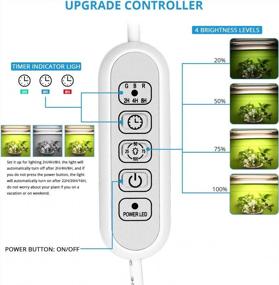 img 3 attached to TBTeek LED Grow Light Strip: Boost Plant Growth With 20W Full Spectrum Sunlight, 4 Dimmable Levels, And Auto ON&Off Timer