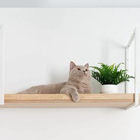 img 1 attached to Upgrade Your Cat'S Playtime With The MyZoo Avenue Wall-Mounted Cat Walkway Superhighway – 23.5In (M), White