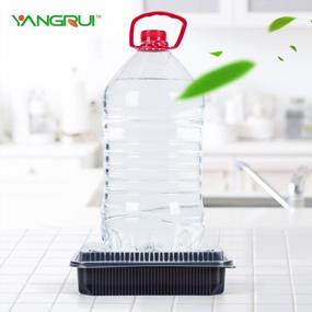 img 1 attached to YANGRUI Reusable To Go Containers - 40 Pack BPA Free Meal Prep Boxes With Lids