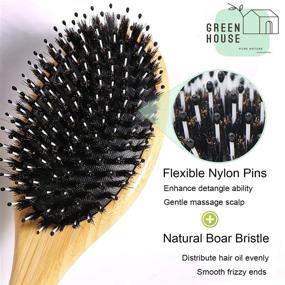 img 3 attached to Boar Bristle Hairbrush Set For Thick Curly Long Wet Or Dry Hair - Best Oval Paddle Bamboo Brush To Reduce Frizz, Make Hair Smooth & Shiny