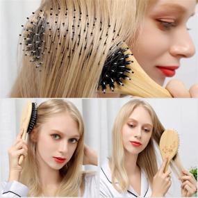 img 1 attached to Boar Bristle Hairbrush Set For Thick Curly Long Wet Or Dry Hair - Best Oval Paddle Bamboo Brush To Reduce Frizz, Make Hair Smooth & Shiny