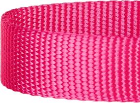 img 1 attached to Blueberry Pet Essentials: Wide Variety of Martingale Safety Training Dog Collars in 20+ Colors, Featuring Customization Options