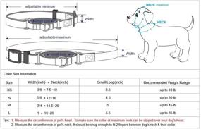 img 3 attached to Blueberry Pet Essentials: Wide Variety of Martingale Safety Training Dog Collars in 20+ Colors, Featuring Customization Options