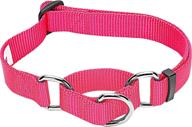 blueberry pet essentials: wide variety of martingale safety training dog collars in 20+ colors, featuring customization options логотип