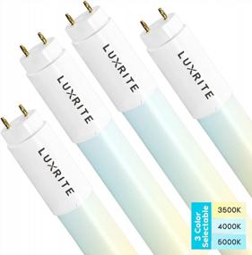 img 4 attached to 4 Pack LUXRITE F32T8 T8 LED Tube Light 18W=32W 3500K 4000K 5000K 2340 Lumens Frosted Cover UL DLC Type A+B Single/Double End Powered Plug & Play/Ballast Bypass