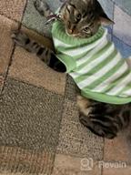 img 1 attached to High Stretch And Soft Striped Kitty Sweater For Cats And Small Dogs - Evursua Knitwear For Male And Female Pets (S, Blue) - Keeping Them Warm And Fashionable review by Christopher Yap