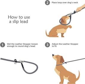 img 2 attached to PIPETPET Slip Lead Dog Leash: Anti-Choking, Padded Traffic Handles 6 FT - Heavy Duty Nylon Rope Leash for Large, Medium Dogs - Training & Walking (Blue Grey)