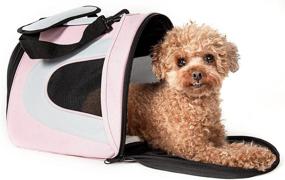 img 3 attached to Airline Approved Collapsible Zippered Pet Cats best on Carriers & Strollers