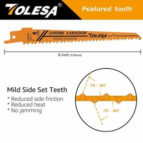 img 2 attached to TOLESA Wood Pruning Reciprocating Saw Blades 6 Inch 6 TPI Sawzall Blades Green Wood Construction Wood Cutting And PVC Pipe Cutting CRV Sharp Ground Teeth For Quick Cutting Sabre Saw Blades 5 Pack