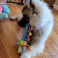 img 1 attached to Pet Stages Cool Teething Stick Dog Toy review by Adam Madden