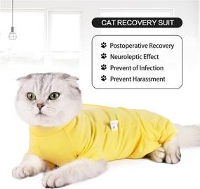 img 2 attached to Recovery Surgery Abdominal Collar Alternative Cats