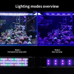 img 2 attached to 🐠 JOYHILL LED Aquarium Lights: Enhance Aquatic Reef, Coral Plants, and Fish Keeping with Extendable Brackets