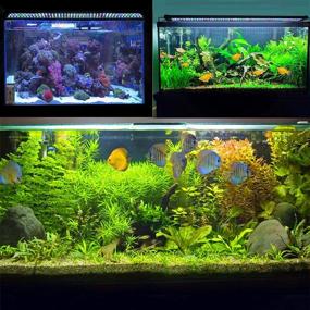 img 3 attached to 🐠 JOYHILL LED Aquarium Lights: Enhance Aquatic Reef, Coral Plants, and Fish Keeping with Extendable Brackets