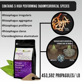 img 1 attached to Myco Bliss: 20 Lbs Of Organic Mycorrhizal Fungal Inoculant For Increased Nutrient Absorption & Crop Yields - 5 Superior Strains