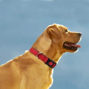 img 3 attached to Taglory Reflective Dog Collar With Safety Locking Buckle, Adjustable Nylon Pet Collars For Medium Dogs, Red